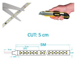 24V 12W/M LED-Nauha 120xLED/M  5m  SMD2835  1680Lm  IP20